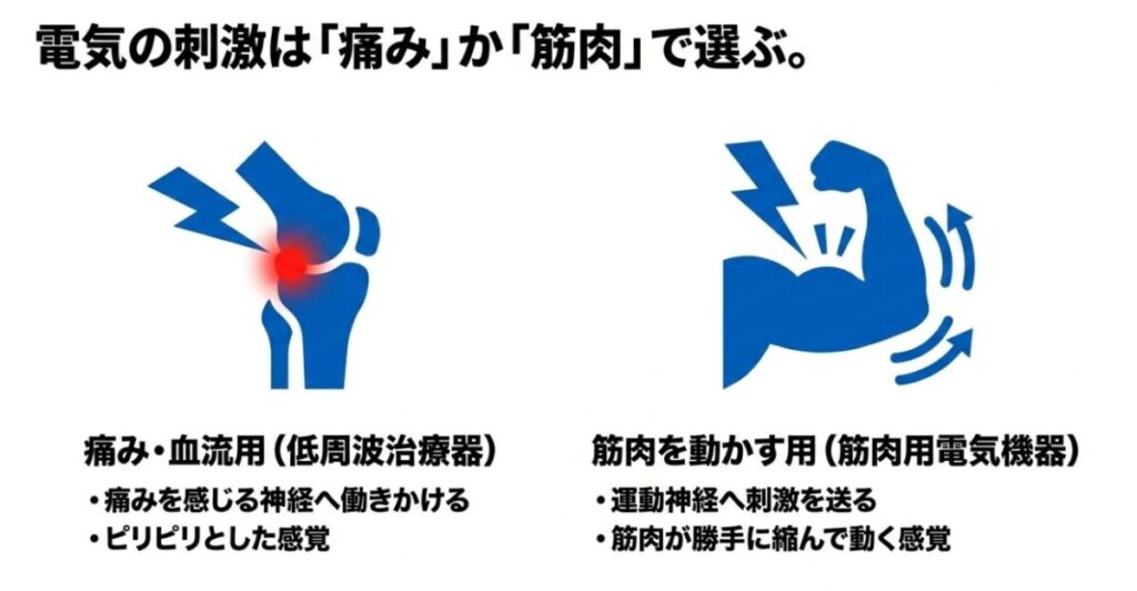 低周波治療器は痛みや血流への刺激、EMSは筋肉を収縮させる電気刺激として比較