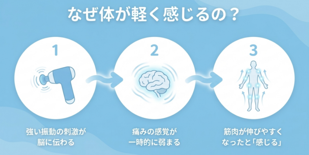 マッサージガンの振動が脳へ伝わり、痛みの感覚が一時的に弱まって筋肉を伸ばしやすく感じる流れ