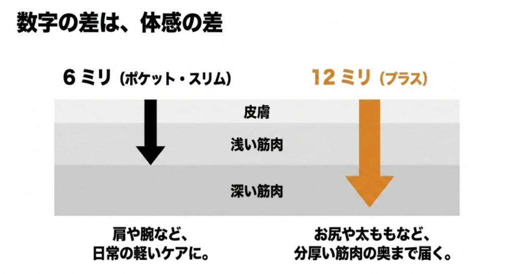 Pocket・Slimの6mmは肩や腕などの軽いケア、Plusの12mmはお尻や太ももなど厚みのある筋肉向けと示した模式図