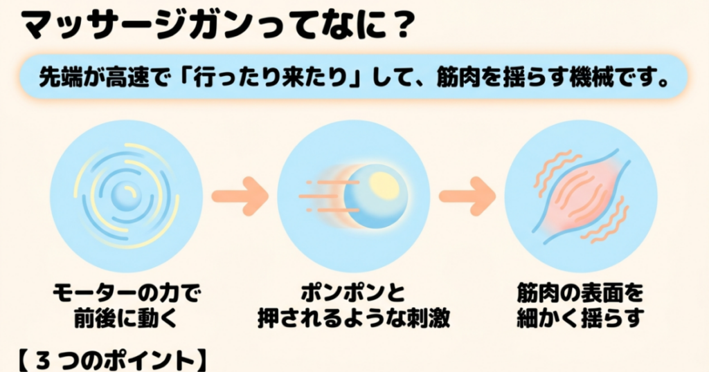 モーターで先端が前後に動き、反復圧力と細かな振動が筋肉へ伝わるマッサージガンの仕組みを示した図